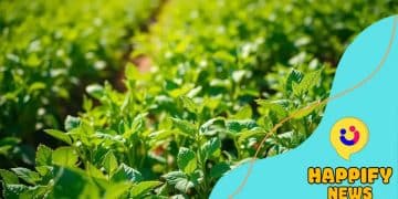 Green agriculture investments: paving the way for sustainability